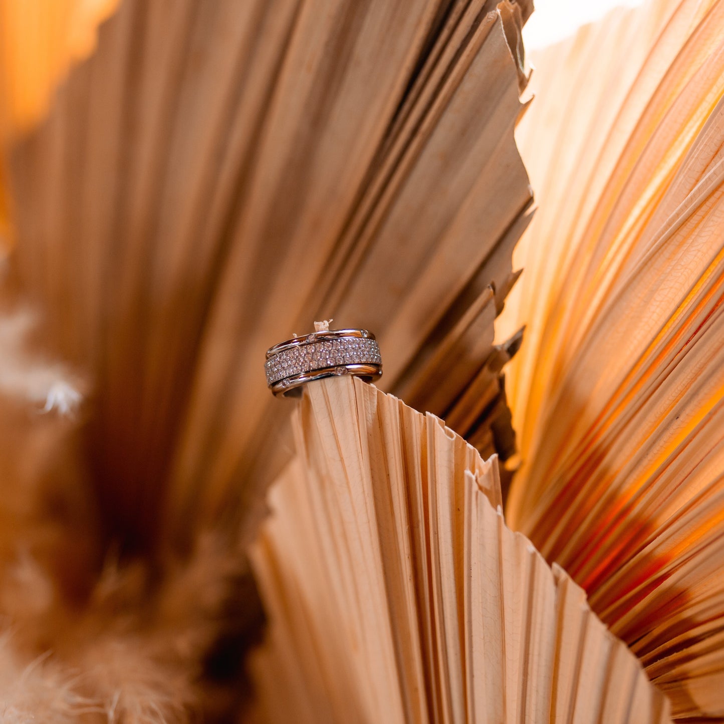 Freedom Ring Rings tendegreesinc