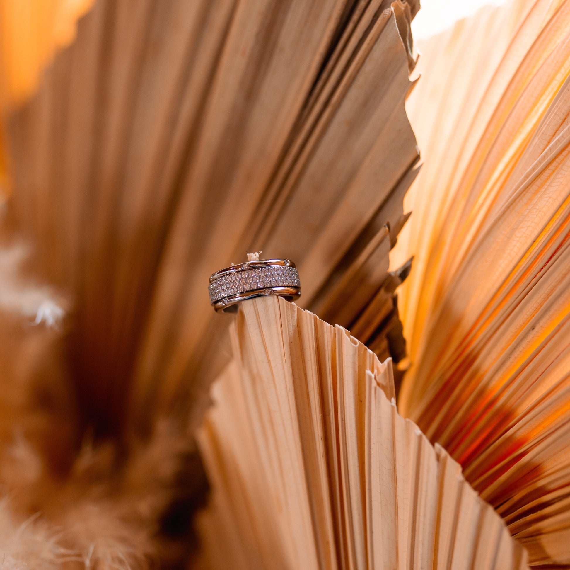 Freedom Ring Rings tendegreesinc