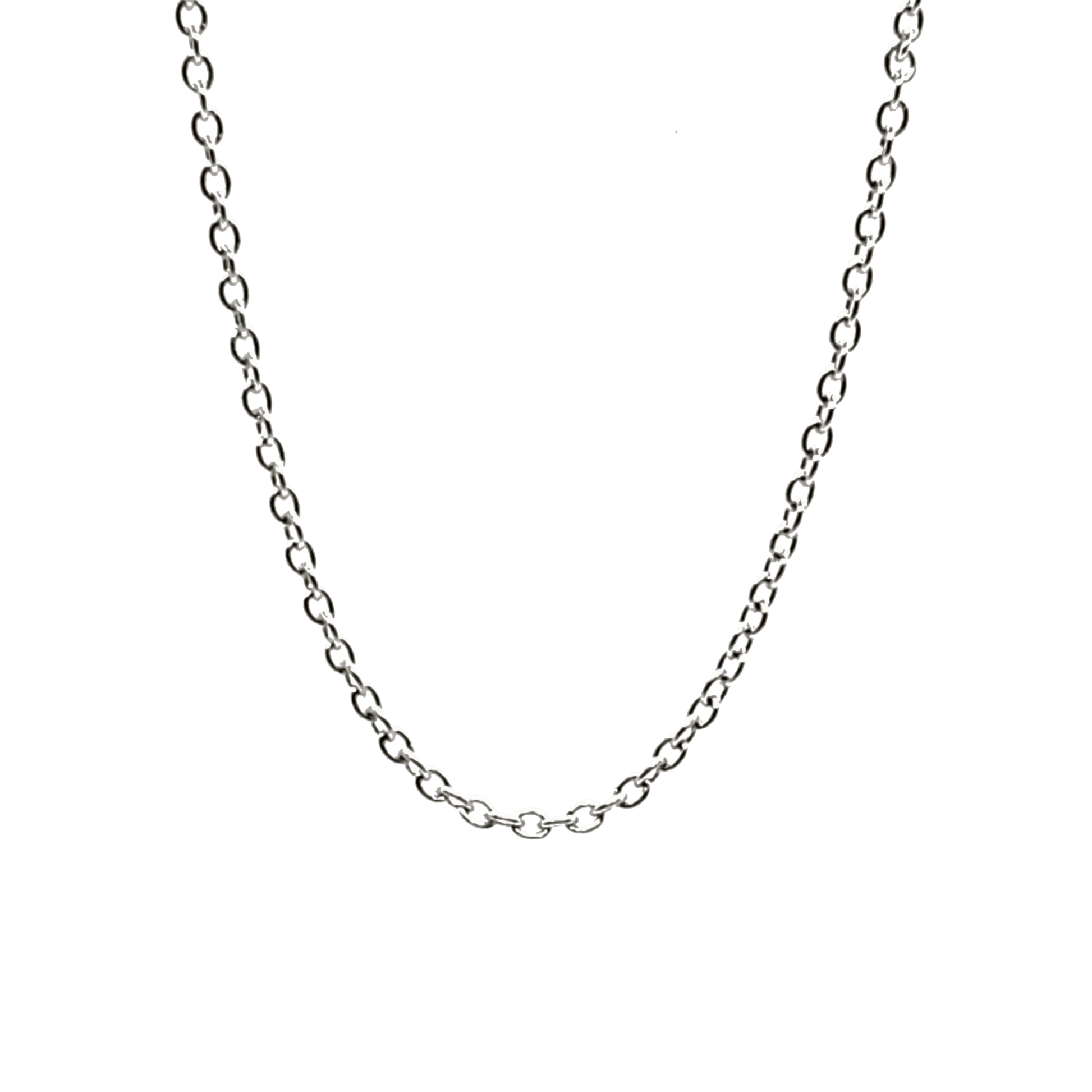 Forever Necklace - Sale Sale tendegreesinc Silver 24" 